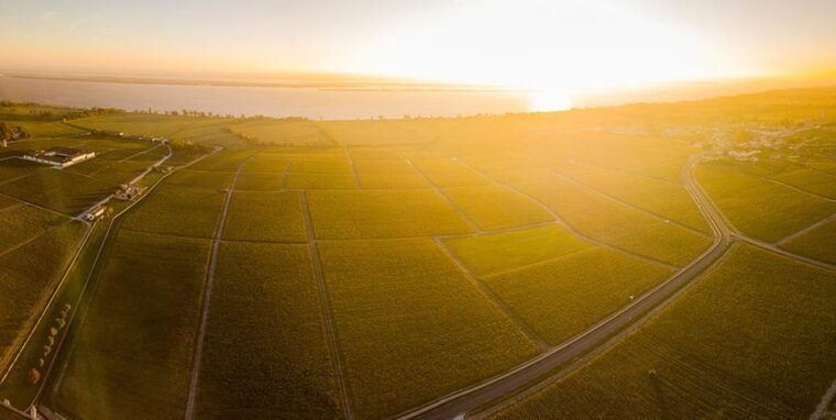 medoc-and-libournais-left-and-right-bank