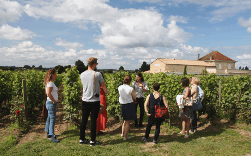 medoc-morning-wine-tour-winery-tastings