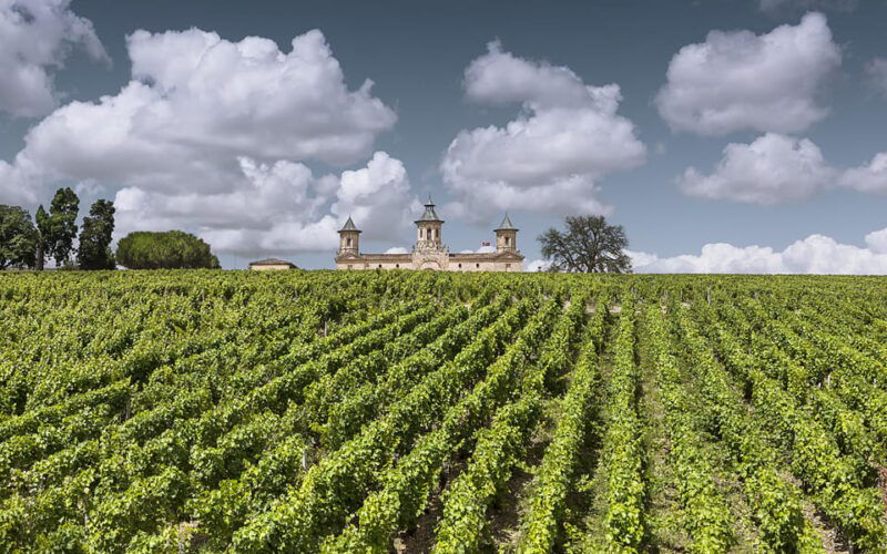 medoc-morning-wine-tour-winery-tastings