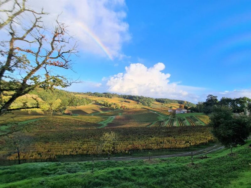 medoc-morning-wine-tour-winery-tastings