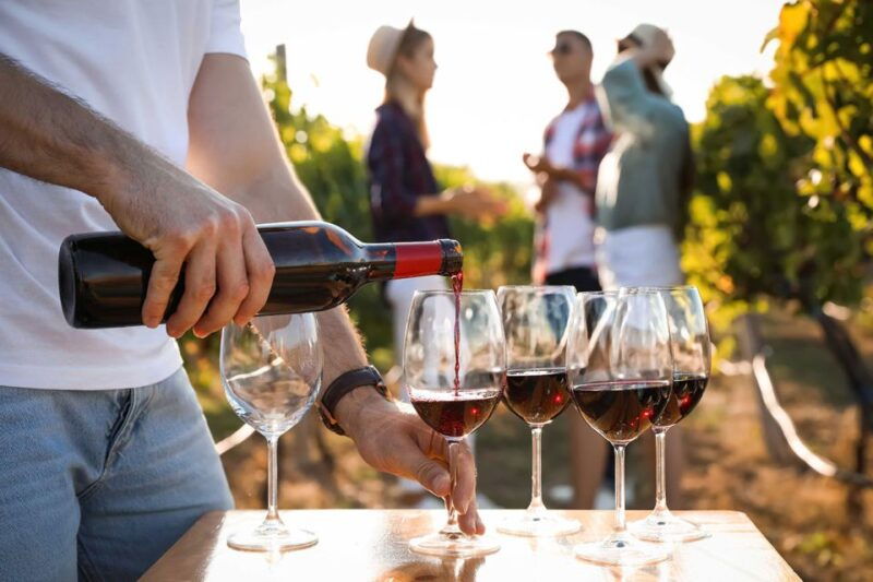 medoc-tour-margaux-saint-estephe-and-greediness