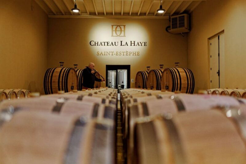 medoc-tour-margaux-saint-estephe-and-greediness