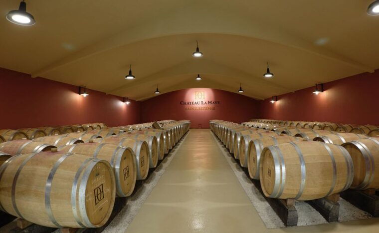 medoc-tour-margaux-saint-estephe-and-greediness