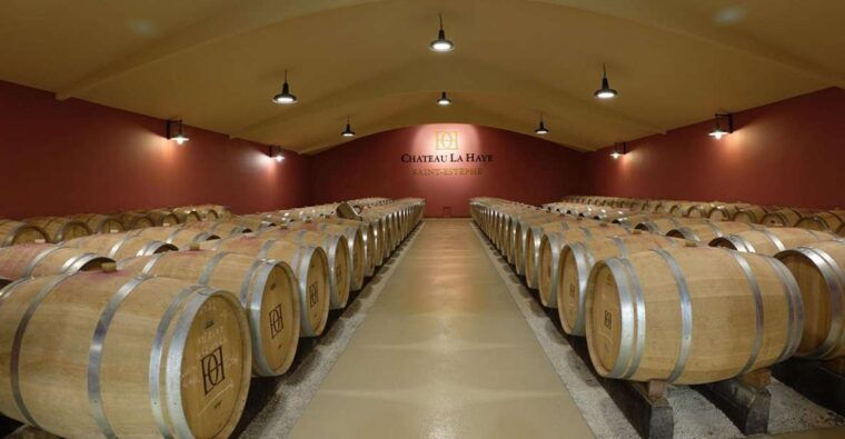 medoc-tour-margaux-saint-estephe-and-greediness