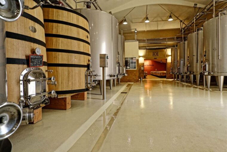 medoc-tour-margaux-saint-estephe-and-greediness