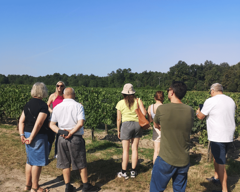 medoc-wine-tour-from-bordeaux-2-wineries-6-wines
