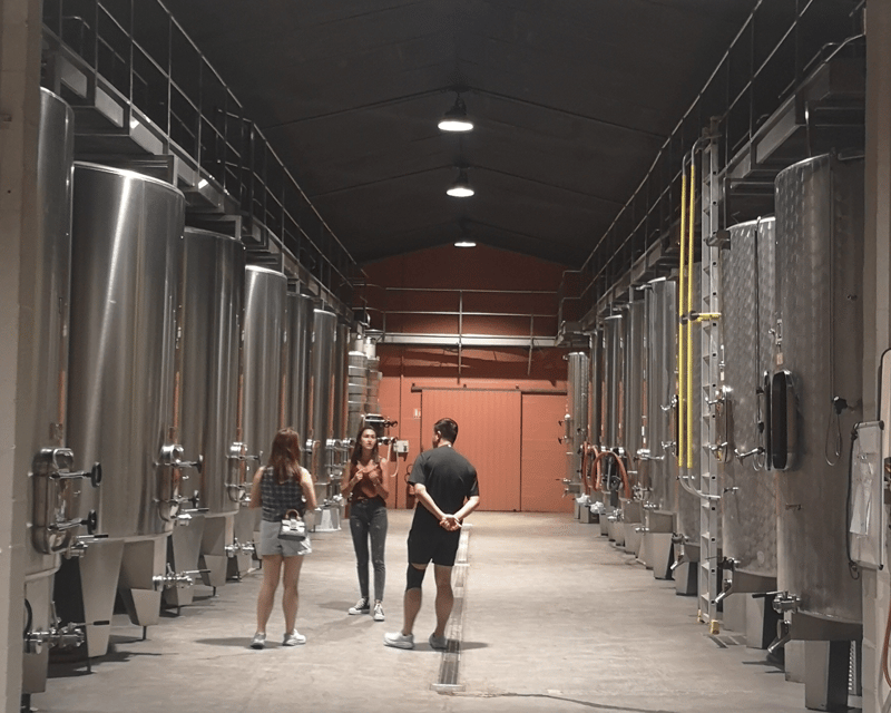 medoc-wine-tour-from-bordeaux-2-wineries-6-wines