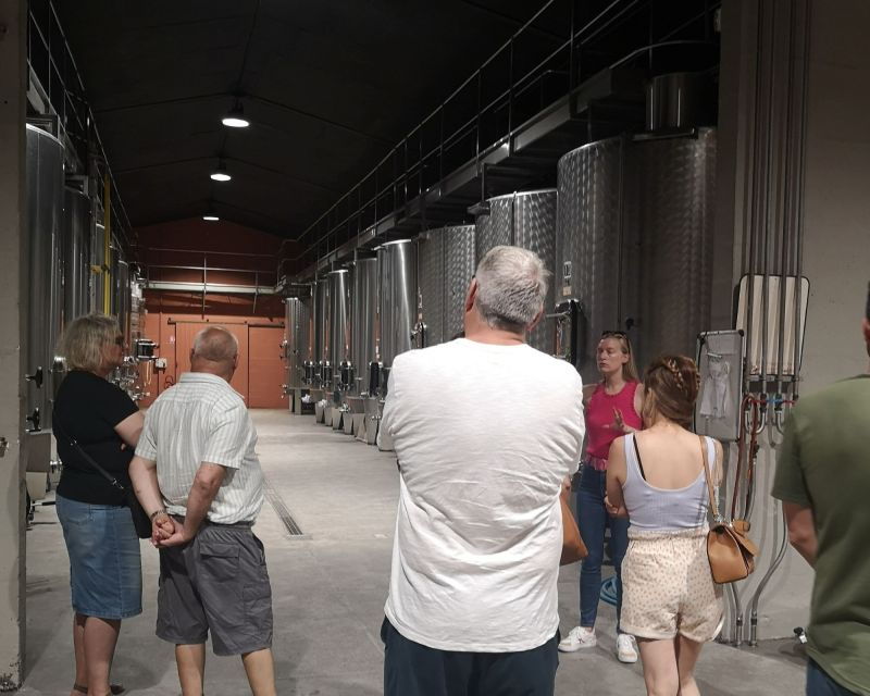 medoc-wine-tour-from-bordeaux-2-wineries-6-wines