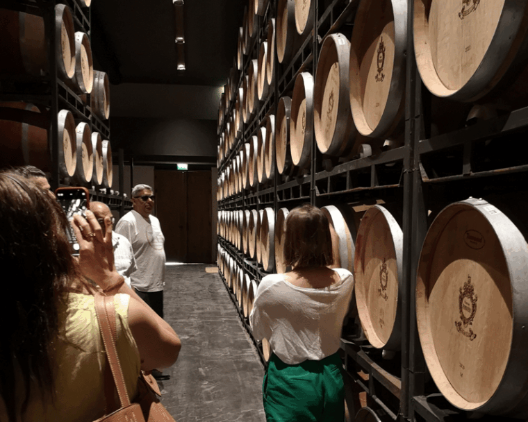 medoc-wine-tour-from-bordeaux-2-wineries-6-wines