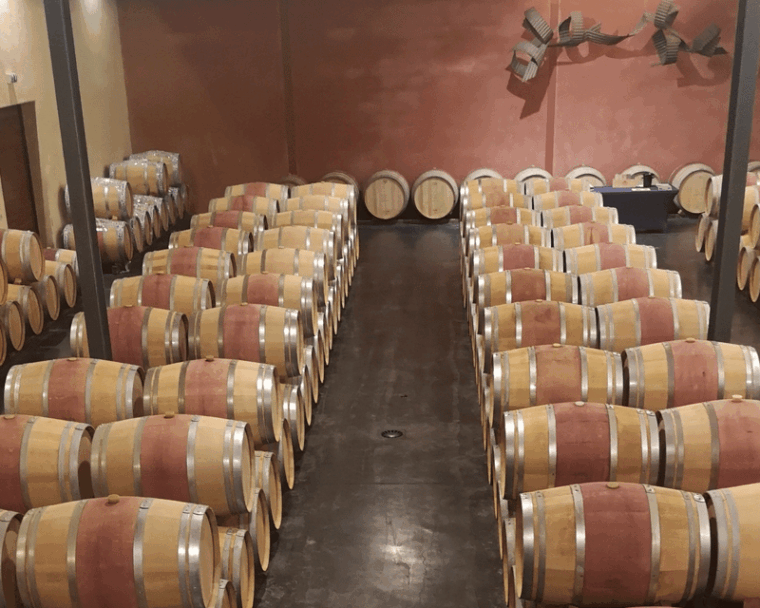 medoc-wine-tour-from-bordeaux-2-wineries-6-wines