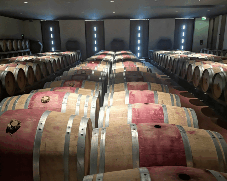 medoc-wine-tour-from-bordeaux-2-wineries-6-wines