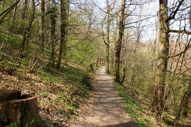 medvednica-hiking-and-chestnuts-picking-tour-from-zagreb