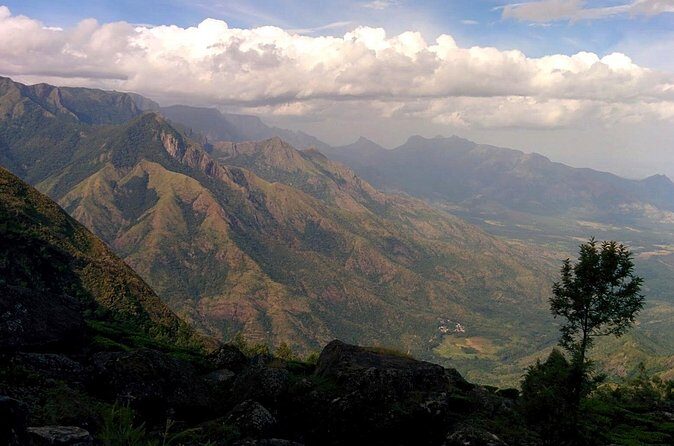 Meesapulimalai Trekking 'the second highest peak in South India' - Private Tour - Discovering Meesapulimala: An In-Depth Review