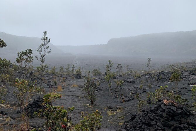 meet-in-the-park-private-hawaii-volcanoes-national-park-tour