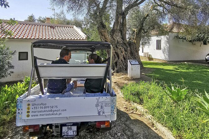 meet-santa-luzia-capital-of-octopus-salinas-in-a-100-electric-tuk-tuk-2