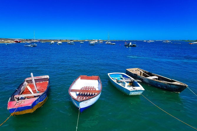 meet-santa-luzia-capital-of-octopus-salinas-in-a-100-electric-tuk-tuk-3
