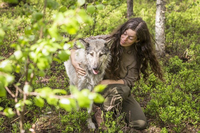 meet-taivas-the-arctic-wolves-private-tour-2