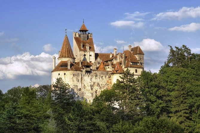 meet-the-bears-visit-dracula-castle-day-tour-from-bucharest