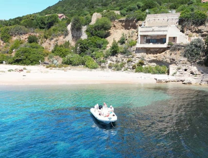 Meet the Dolphins  Escursione in Gommone - RIB Excursion - Key Points