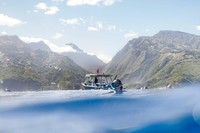 Meet the giants of the seas Semi-private whale trip - The Itinerary Breakdown: What to Expect