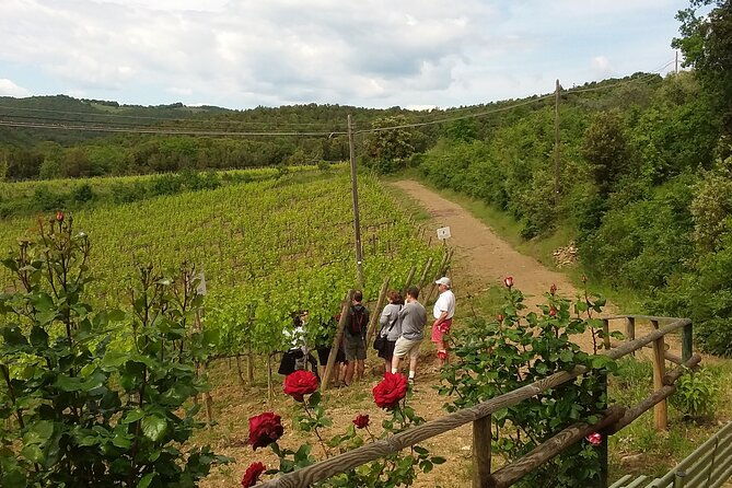 meet-the-king-of-the-territory-brunello-di-montalcino