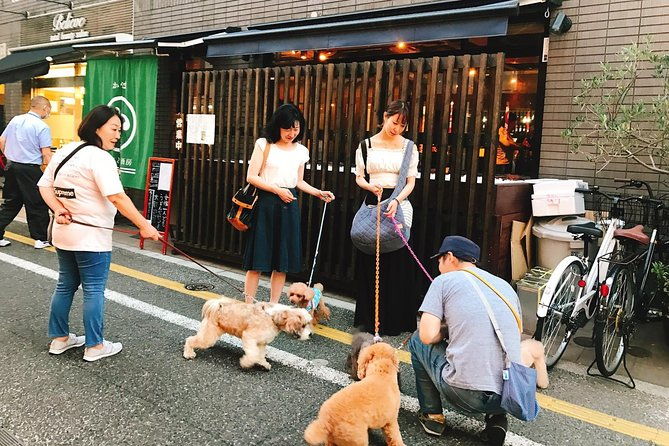 meet-the-lucky-cats-in-suburban-tokyo-gotokuji-walking-tour