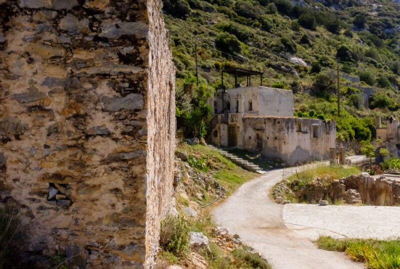 meet-the-trees-in-cyclades-hiking-small-group-experience