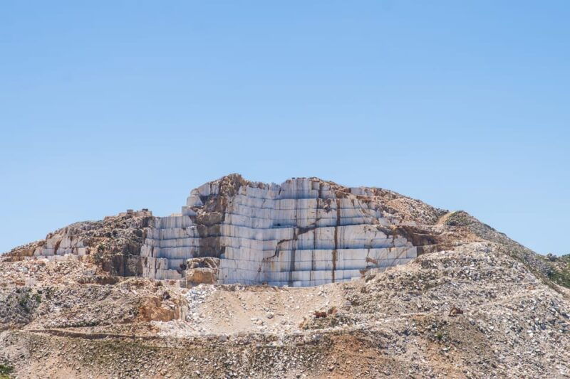 meet-the-trees-in-cyclades-hiking-small-group-experience