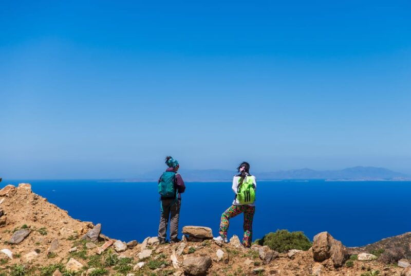 meet-the-trees-in-cyclades-hiking-small-group-experience