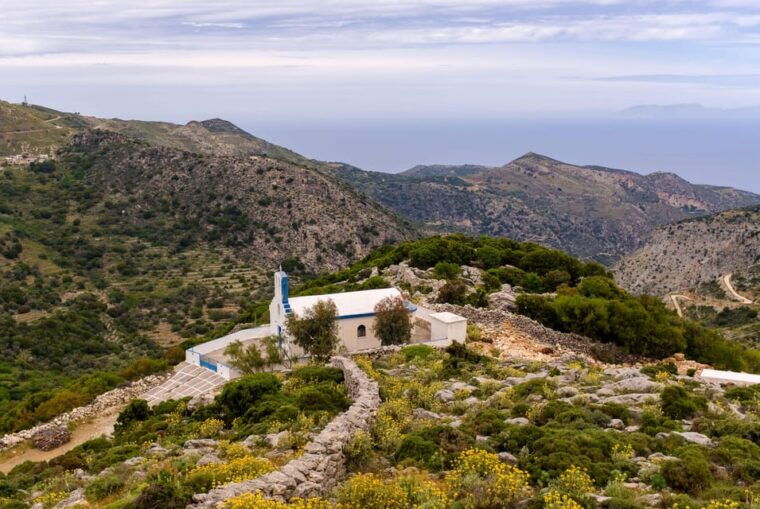 meet-the-trees-in-cyclades-hiking-small-group-experience