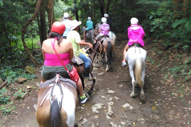 mega-adventure-tour-private-transportation