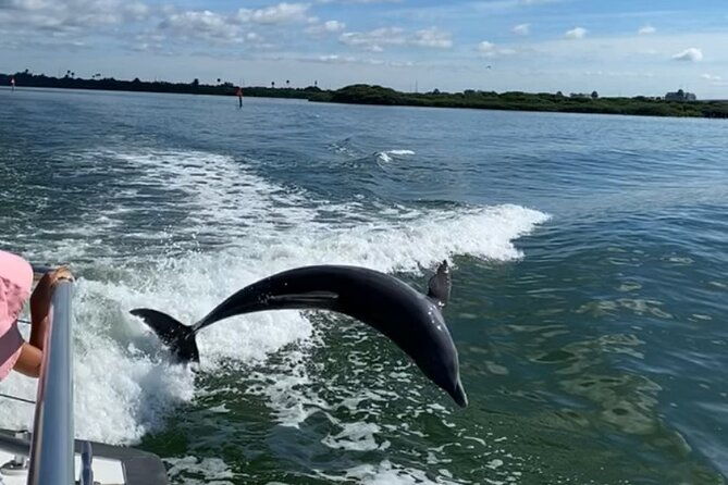 mega-bite-dolphin-tour-boat-in-clearwater-beach