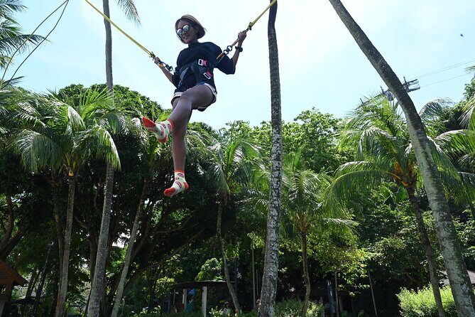 MegaBounce - Key Points