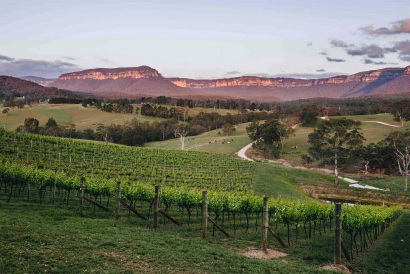 Megalong Valley: Wine Tasting and Stargazing Experience - Key Points