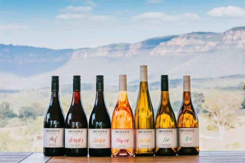 Megalong Valley: Wine Tasting and Stargazing Experience - Stargazing and Astronomy Highlights