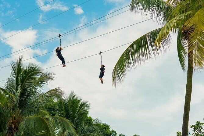 MegaZip at Mega Adventure - What Makes MegaZip at Mega Adventure Special?