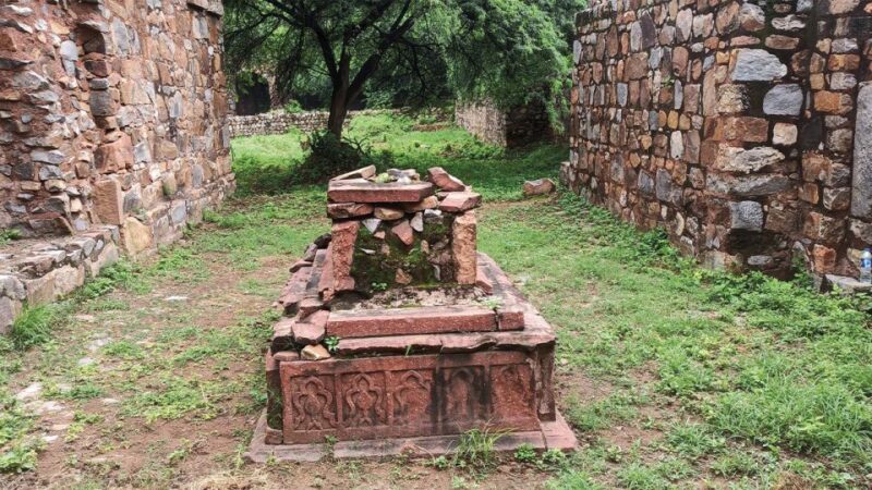 Mehrauli Archaeological Park Walk - Who Should Consider This Tour?