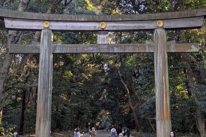 Meiji Jingu Shrine and Park Tour - Introduction