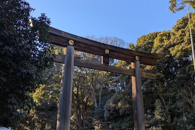 Meiji Jingu Shrine and Park Tour - Who Is This Tour Best Suited For?