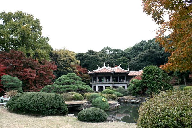 meiji-jingu-shrine-half-day-tour-by-public-transportation