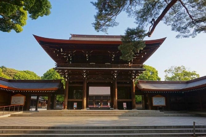 meiji-shrine-and-tsukiji-sushi-making-private-tour