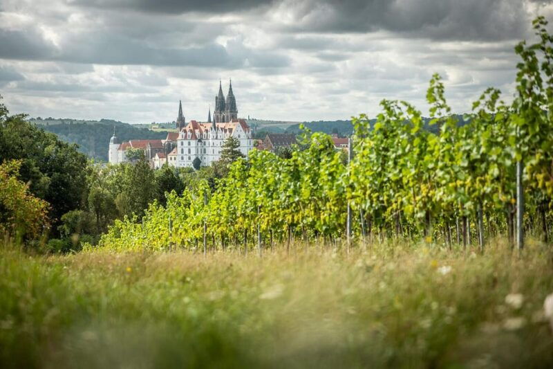 meissen-wine-hike-in-the-proschwitz-vineyards-including-a-3-person-wine-tasting