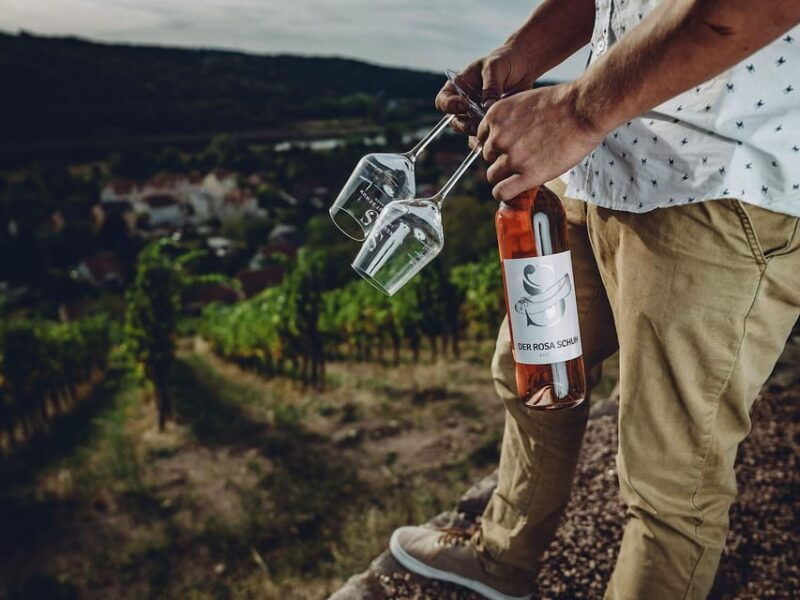 meissen-wine-hike-in-the-spaargebirge-including-3-wine-tastings
