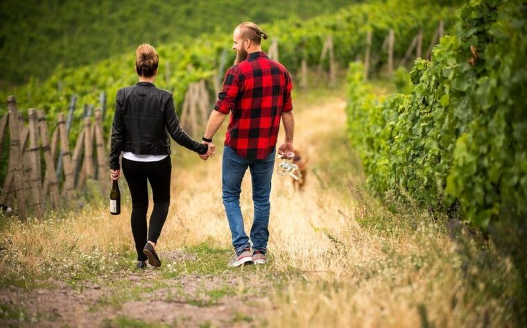 meissen-wine-hike-in-the-spaargebirge-including-3-wine-tastings