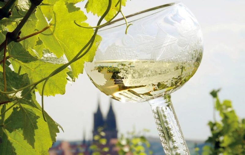 meissen-wine-hike-to-the-rothes-gut-winery-including-3-person-wine-tasting