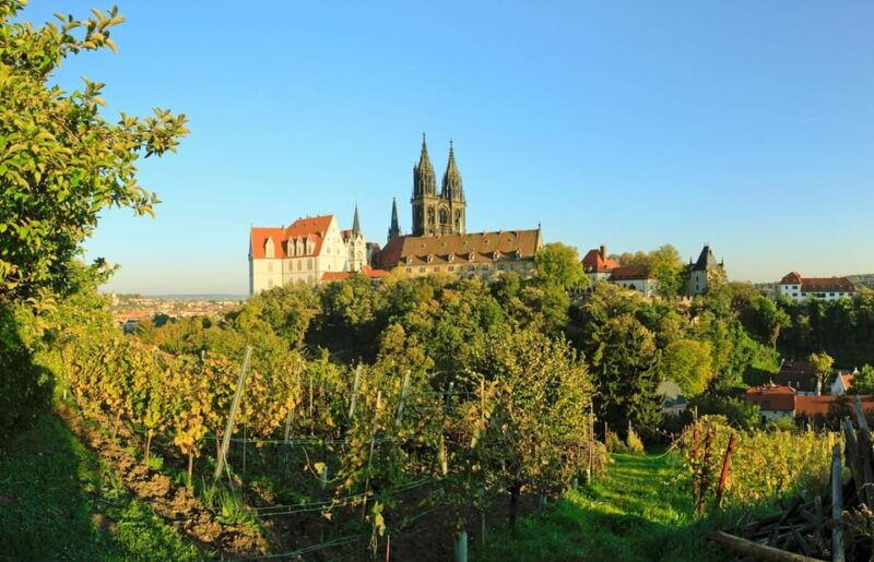 meissen-wine-hike-to-the-rothes-gut-winery-including-3-person-wine-tasting