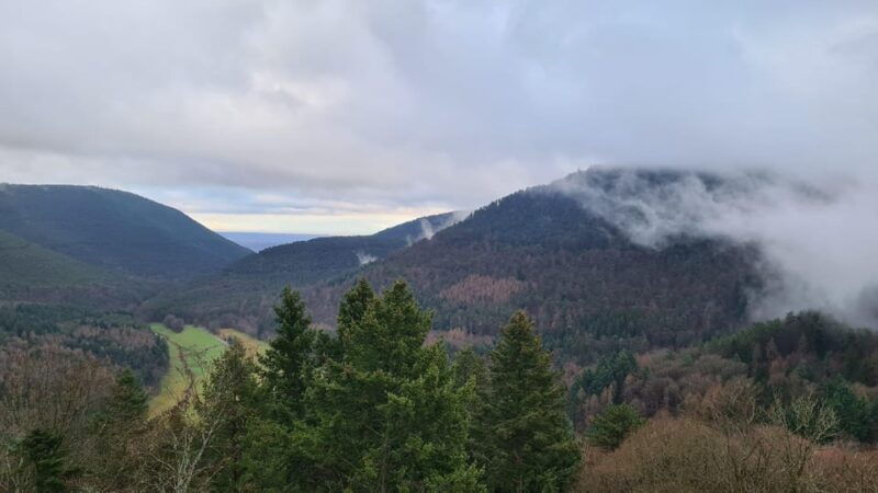 meistersel-castle-adventure-tour-of-the-medieval-castle