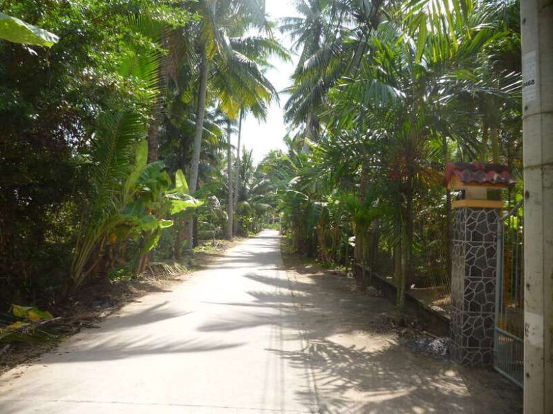 mekong-day-tour-by-carcai-be-market-local-island-cycling