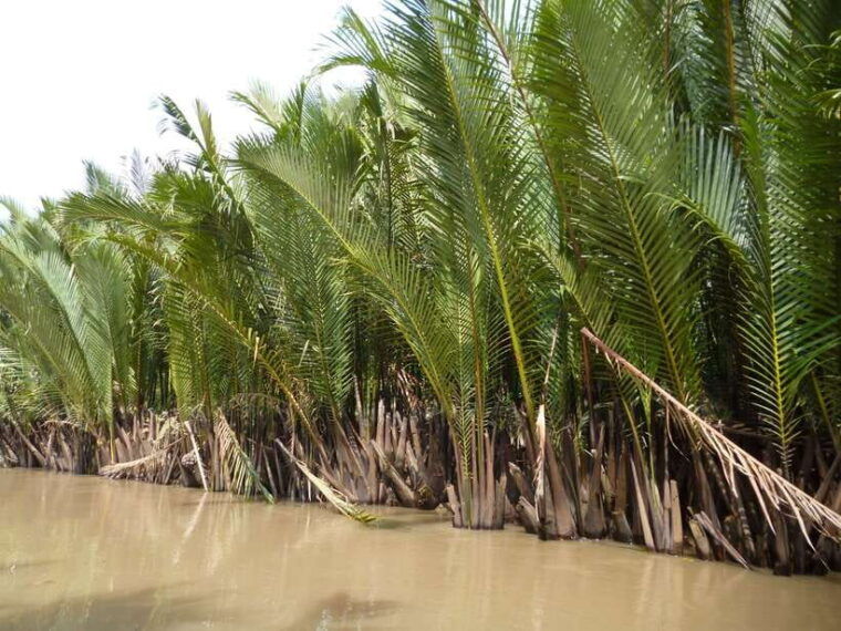 mekong-day-tour-by-carcai-be-market-local-island-cycling