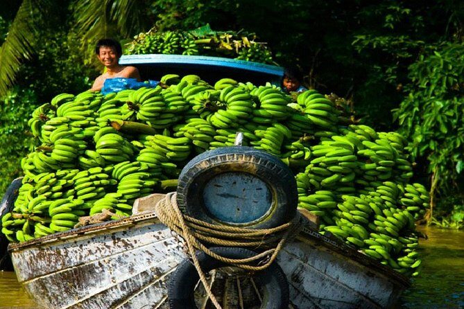 Mekong Delta 1 Day Tour - What Travelers Say: Honest Perspectives